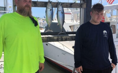 Good catch and release action and some Skip Jack tuna