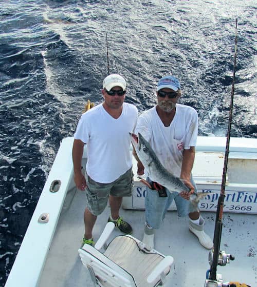 Barracuda caught and released fishing offshore in Key West, Florida