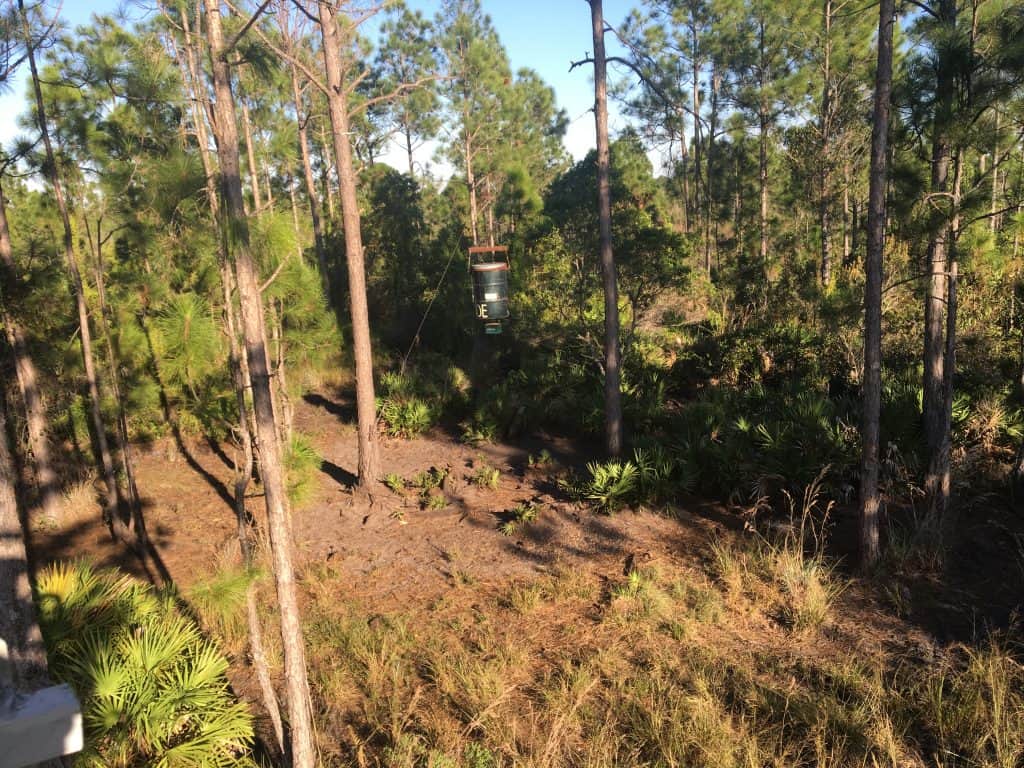 View from a hunting stand in Glades County Florida