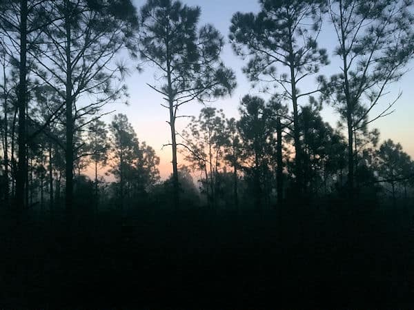 1st light at hunting camp.