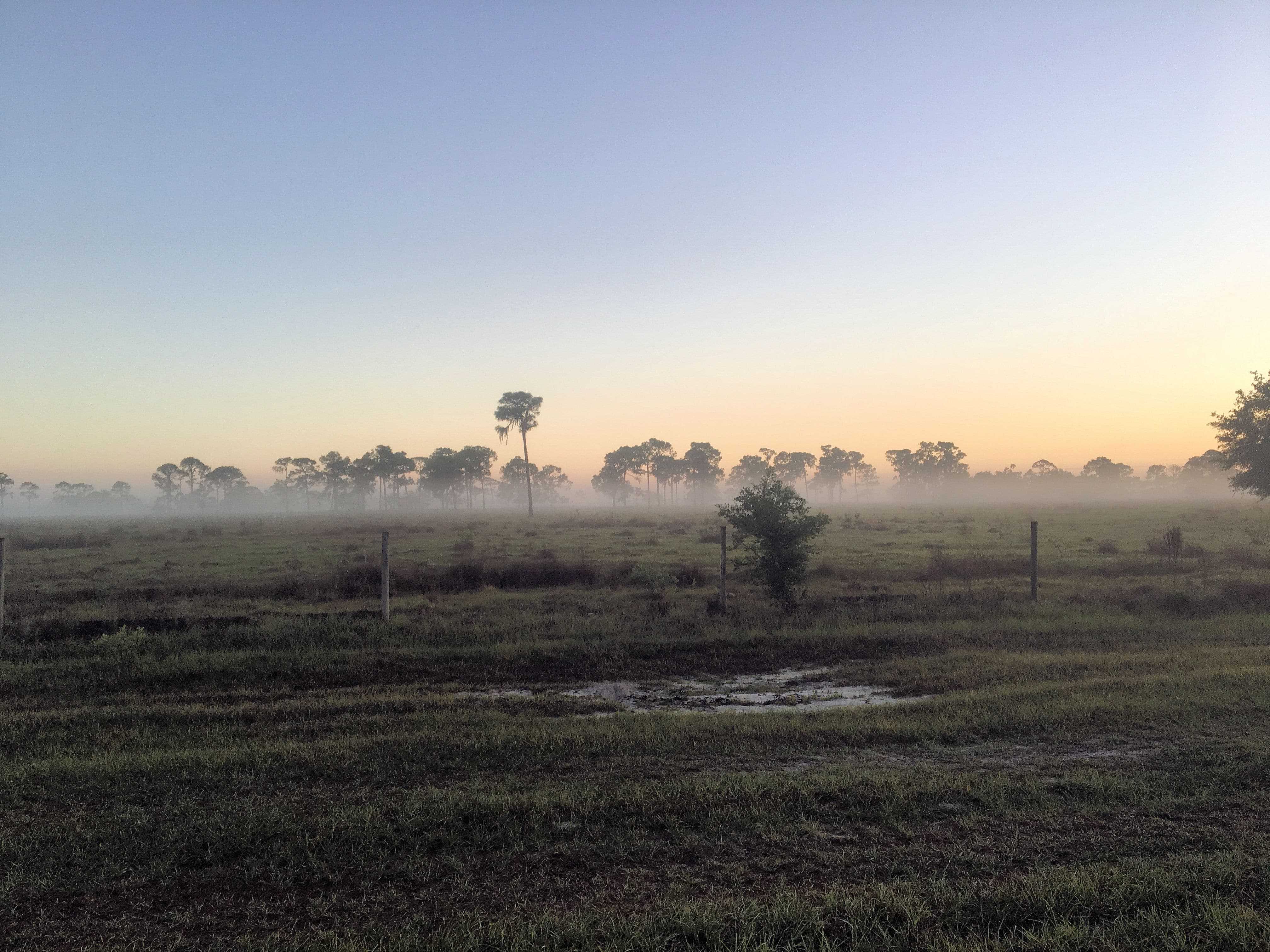 Early morning fog layer in glades county