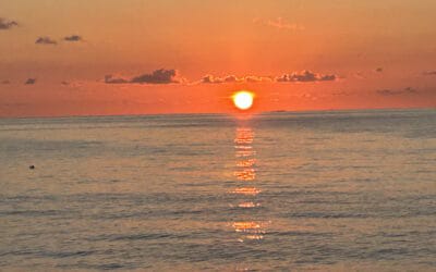 Sunset Trip