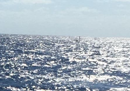 Periscope of US Navy submarine as it passes close to the Southbound picture of periscope of passing submarine