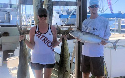 Still catching dolphin